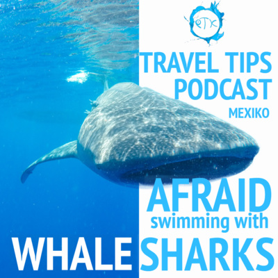 Afraid of open water and big fish - Episode 161