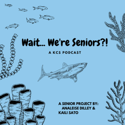 Wait...We\'re Seniors?!