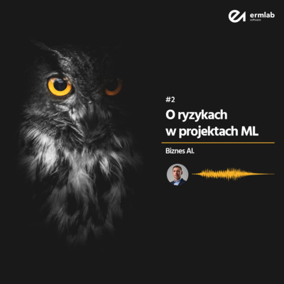 Biznes AI 002: O ryzykach w projekcie machine learning Biznes AI 002: O ryzykach w projekcie machine learning