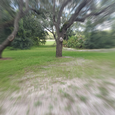 KKK party in Ukraine KKK party in Ukraine