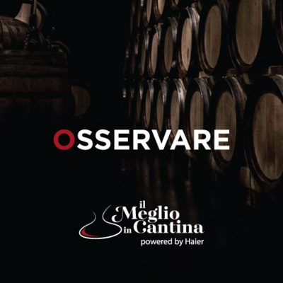 OSSERVARE OSSERVARE