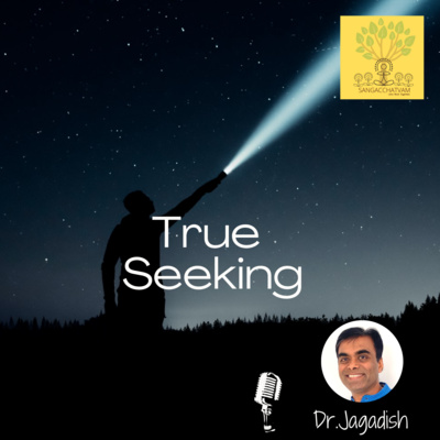 True Seeking episode artwork