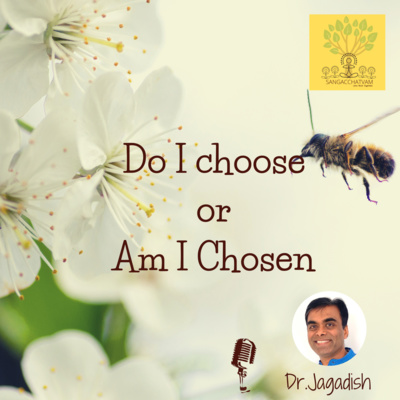 Do I choose or Am I Chosen episode artwork