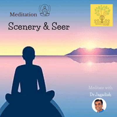 Meditation - Scenery & Seer