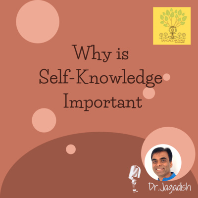Why is Self-Knowledge Important episode artwork