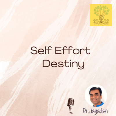 Self Effort Destiny episode artwork
