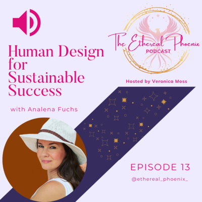 13 | Human Design for Sustainable Success