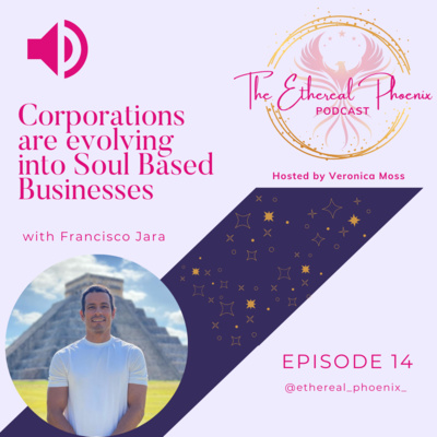 14 | Soul Centered Businesses and the Entrepreneur with Francisco Jara