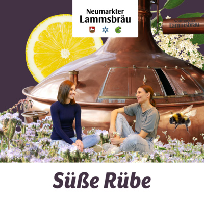 Der Weg der Zuckerrübe vom Bio-Feld bis in die Bio-Limo