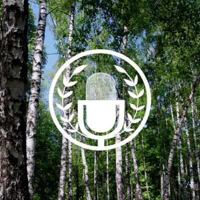 Jälkiviisastelua