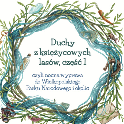 Duchy z księżycowych lasów czyli nocna wyprawa do Wielkopolskiego Parku Narodowego, część 1