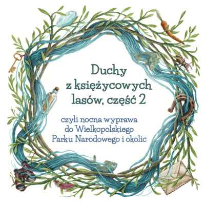 Duchy z księżycowych lasów, czyli nocna wyprawa do Wielkopolskiego Parku Narodowego i okolic, część 2