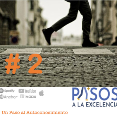 Pasos a la Excelencia