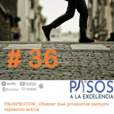 Pasos a la Excelencia