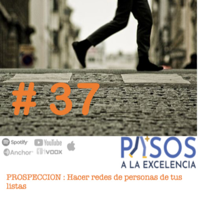 Pasos a la Excelencia