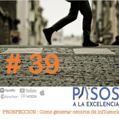 Pasos a la Excelencia