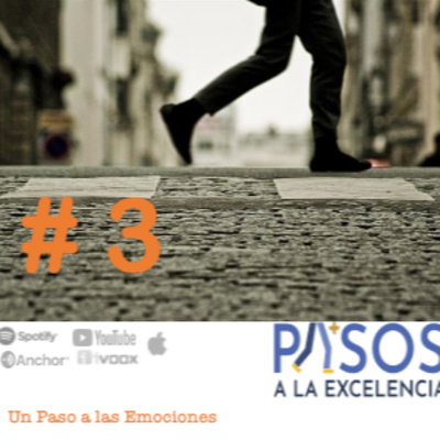 Pasos a la Excelencia