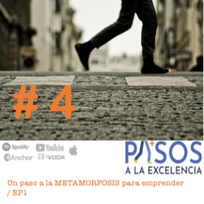 Pasos a la Excelencia