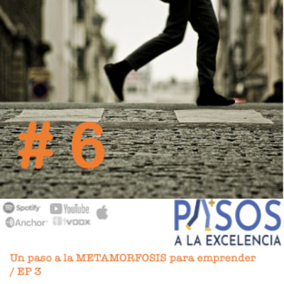 Pasos a la Excelencia