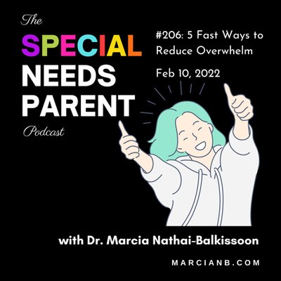The Special Needs Parent Podcast