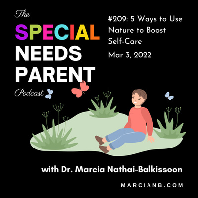 The Special Needs Parent Podcast