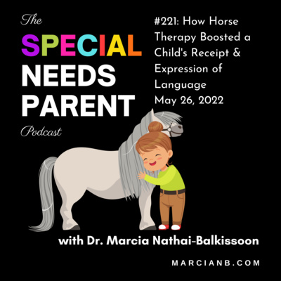 The Special Needs Parent Podcast