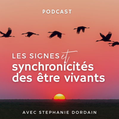 Le héros c\'est toi