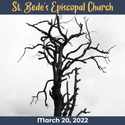 Why me, God? (Lent 3C)