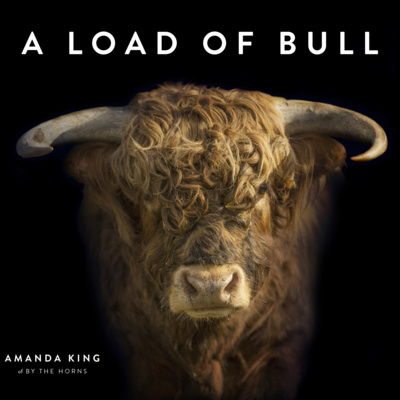 Steve Wyn Harris interviews Amanda King about her book A load of Bull