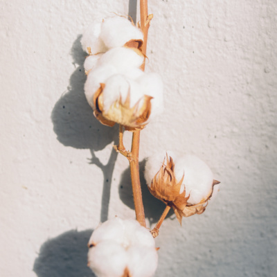 H&M Foundation - about our work for a Planet Positive fashion future
