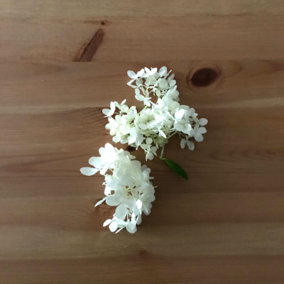 The Collective Inner Garden Podcast