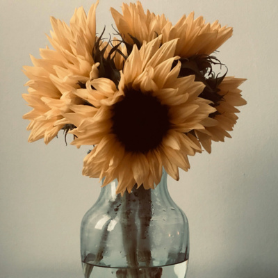 The Collective Inner Garden Podcast
