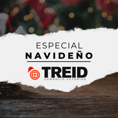Treid Comercio Exterior