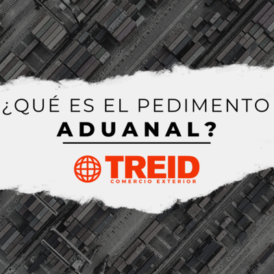 Treid Comercio Exterior