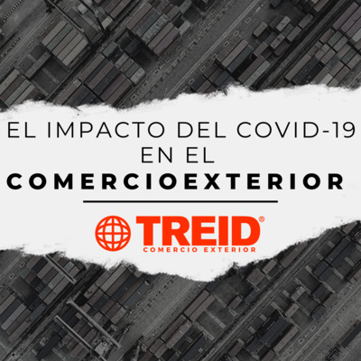 Treid Comercio Exterior