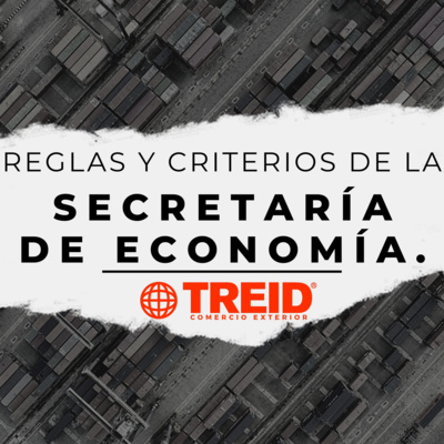 Treid Comercio Exterior