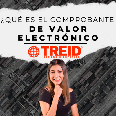 Treid Comercio Exterior