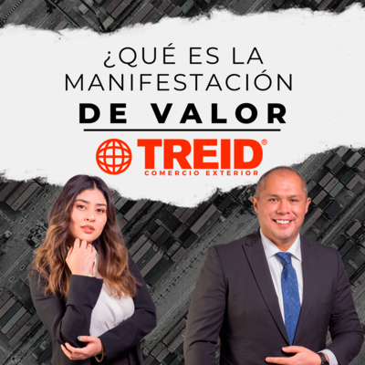 Treid Comercio Exterior