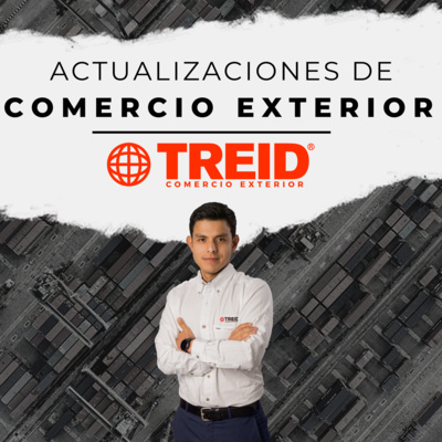 Treid Comercio Exterior
