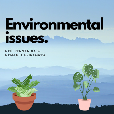 Environmental issues