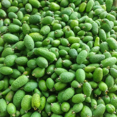 La feijoa, la fruta de la eterna juventud - C1