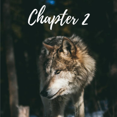 Chapter 2 // Stalking the Intruder: The Beginning Initiation Chapter 2 // Stalking the Intruder: The Beginning Initiation