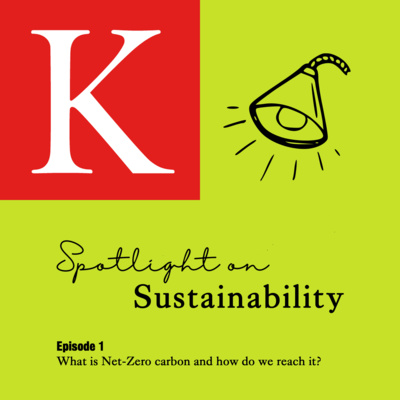 Episode 1. What is Net-Zero carbon and how do we reach it? With Prof Frans Berkhout (SDG 7, SDG 9, SDG 12).