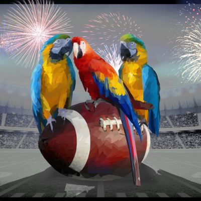 3 Vögel & 1 Football