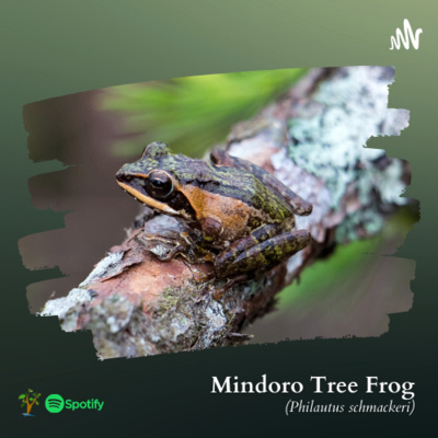 Mindoro Biodiversity Podcast