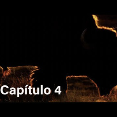 La Bestia Que Sube de la Tierra - El Cordero y Dragón - Cadena profética de Dios - Capítulo 4