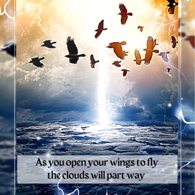 Ep. #100: ALIGN TO FLY -The Daily Oracle with Michelle Irene episode artwork