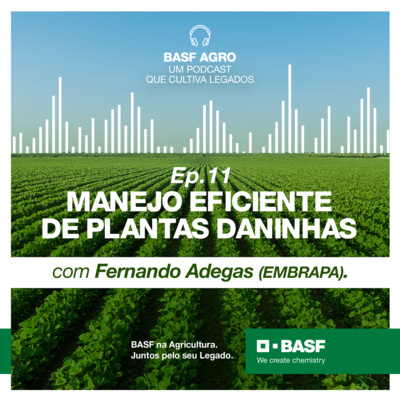 Ep. 11 - Manejo eficiente de plantas daninhas, com Fernando Adegas (Embrapa)  episode artwork