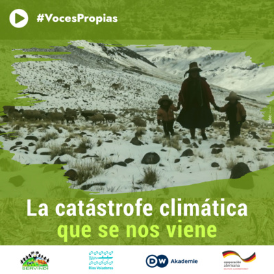 Voces propias