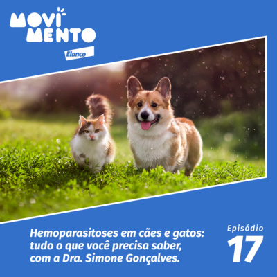 Movimento Elanco